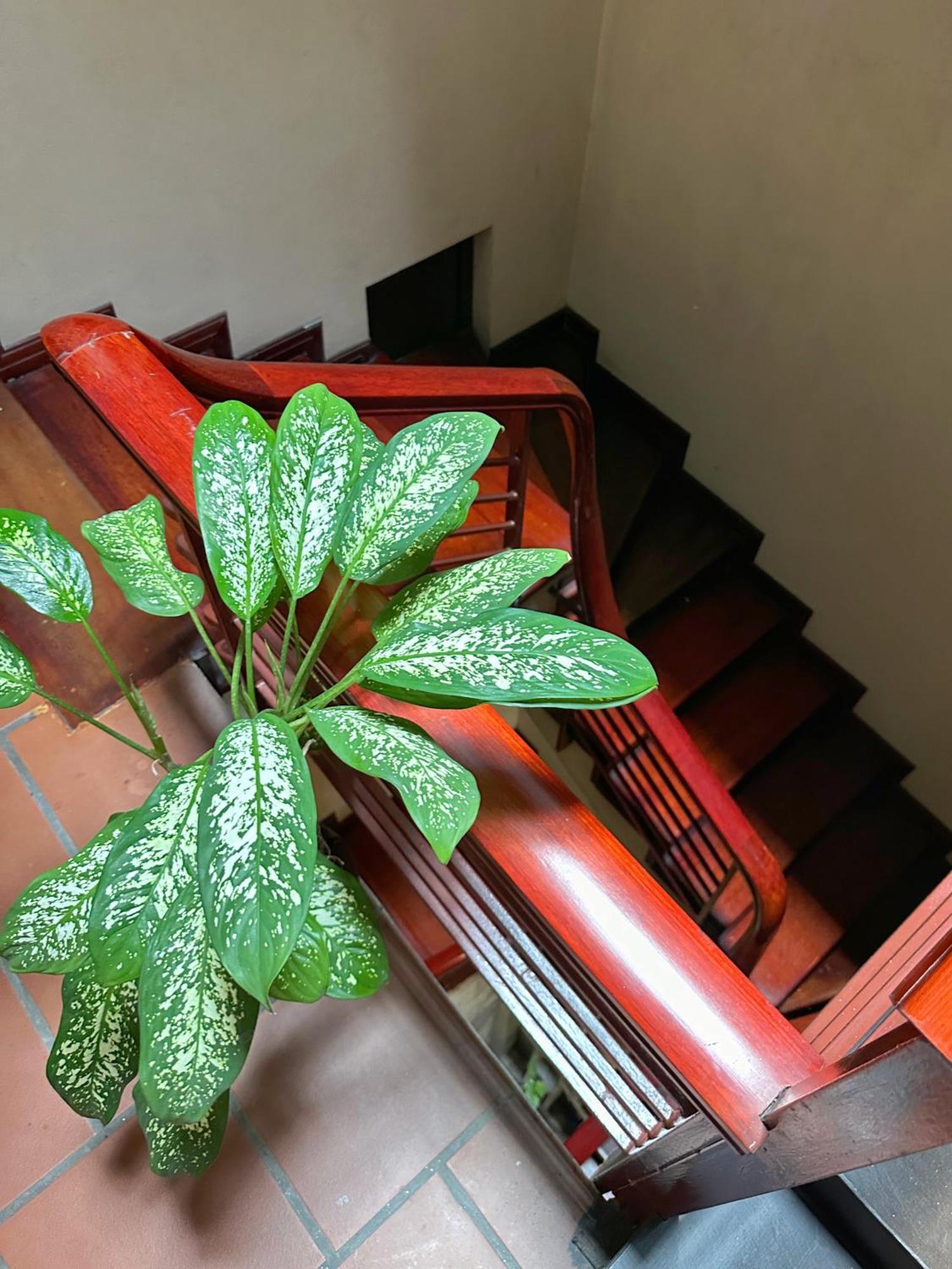 Halo Bay Homestay Ha Long Buitenkant foto